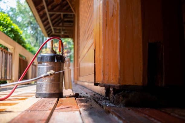 Best Exterminator Services  in Wheeling, WV