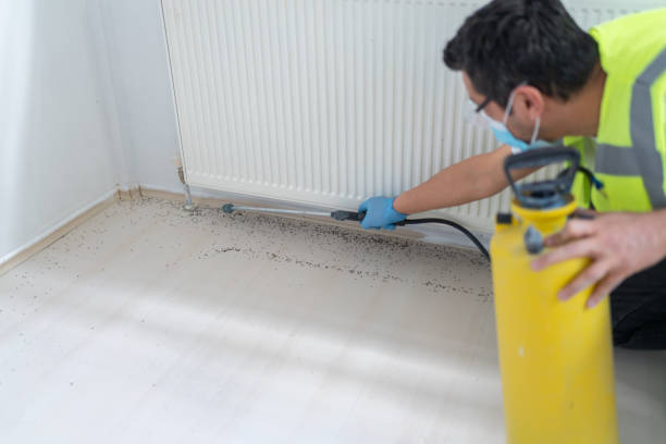Best Best Pest Control Companies  in Wheeling, WV